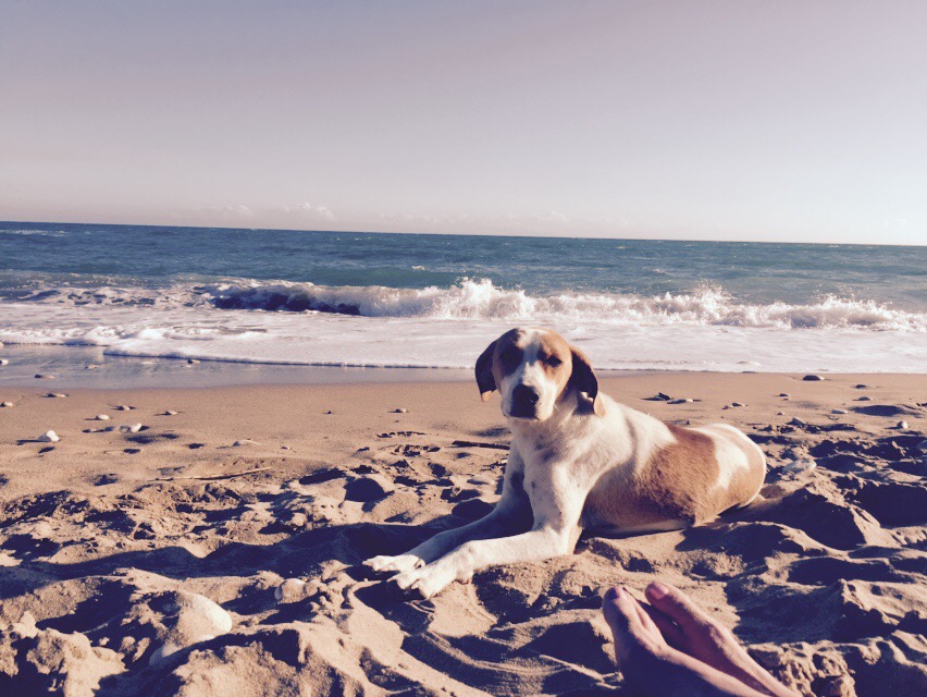 … Den Strand genießen